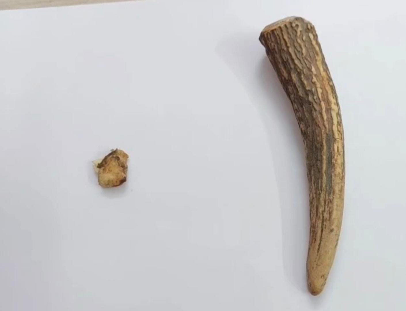 e8a582a1-3580-4dea-97d4-c40741e506b6