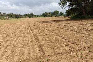 సబ్సిడీ వేరుశనగ విత్తనాలు మొలకెత్తలే.. అన్నదాతల ఆవేదన.!