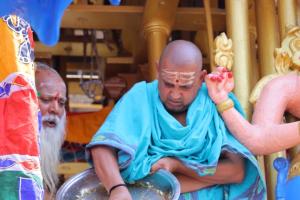 వైభవంగా మహానందీశ్వరుడి రథోత్సవం